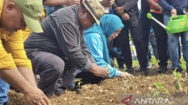 Jaga Ketersediaan Stok Pangan, Papua Barat Serentak Tanam Komoditas Penyumbang Inflasi