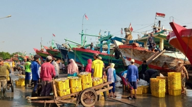 Alam Indonesia Lebih Unggul Dibandingkan Tetangga ASEAN, Industri Maritim Berpotensi Maju