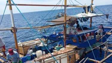 Ungkap Sindikat Perdagangan Orang, DFW Indonesia: Pemerintah RI Gagal Tegakkan Hukum di Laut
