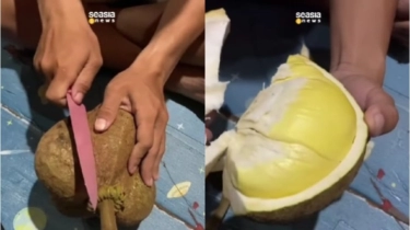 Heboh Durian Tanpa Duri di Thailand, Cara Membelahnya Jadi Super Effortless