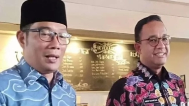 Indikator: Ridwan Kamil Bisa Dapat 'Durian Runtuh' Jika Ahok Tak Maju Pilkada Jakarta