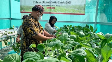Bank DKI Konsisten Jalankan Program Jakarta Koperasi Hidroponik