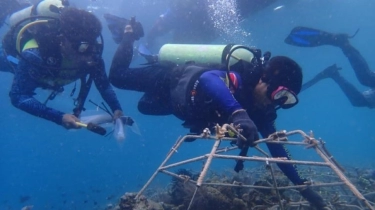 Kisah Para Penjaga Surga Bawah Laut di Pulau Bunaken: Konservasi dan Tantangan Eksploitasi