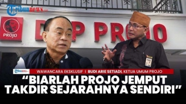 VIDEO EKSKLUSIF Ketum Projo Soal Pilkada 2024: Tak Perlu Titip Kaesang, Surveinya Sudah Tinggi