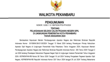 CPNS Pemkot Pekanbaru 2024 Dibuka 250 Formasi, Cek Syarat dan Kualifikasi Pendidikan yang Dibutuhkan