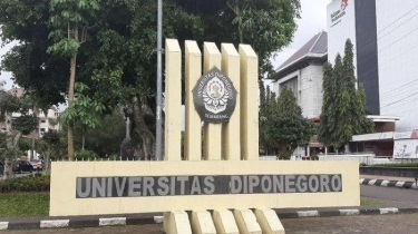 Sejak 2021, Undip Pecat 3 Mahasiswa PPDS yang Lakukan Pelanggaran Berat terkait Perundungan