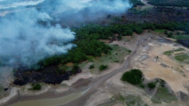 Krisis Kabut Asap Akibat Kebakaran Amazon Selimuti Brasilia, 48 Kota dalam Status Darurat