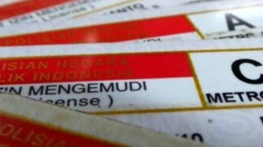 Mulai 1 Juni 2025 SIM Indonesia Berlaku di Luar Negeri, Catat Daftar Negaranya