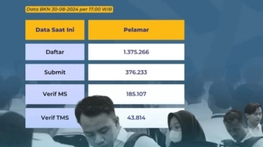 Data Statistik Pelamar CPNS 2024, Ini 5 Daerah Sepi Pelamar dan Peluang Lolos Lebih Besar!