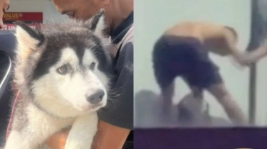 Kejam! Pebulutangkis Malaysia Didenda Rp89 Juta Karena Siksa Anjing