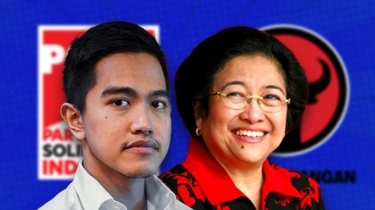 Bela Kaesang, Ketua DPP PSI Singgung Megawati dan Mahfud MD yang Juga Pernah Naik Jet Pribadi