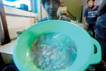 Gagalkan Penyelundupan 3,3 Juta Benih Bening Lobster Sepanjang 2024, KKP dan Aparat Penegakan Hukum Selamatkan Rp 425,6 M
