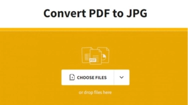Cara Ubah PDF ke JPG dan Sebaliknya Agar Sukses Unggah Dokumen CPNS 2024