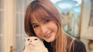 Bukti Puput Novel Penyayang Semasa Hidup, Bikin Shelter Kucing dan Anjing untuk Dirawat
