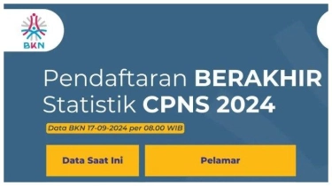 Link Statistik Final Pelamar CPNS 2024, 599.528 Pelamar Terverifikasi TMS