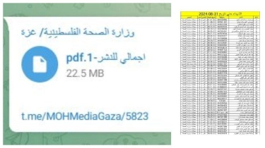 Nama 710 Bayi Palestina Baru Lahir yang Dibunuh Pasukan Israel di Gaza Dipublikasikan