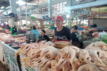 Daging Ayam Kampung Terbukti Lebih Sehat daripada Daging Ayam Komersial, Ini Hasil Penelitiannya