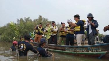 Fishlog Gandeng BPDLH dan UNDP Indonesia Tanam 5.000 Mangrove di Pesisir Muara Gembong