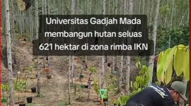 Hutan Wanagama Nusantara: UGM Jadi Pionir ''Smart Forest City'' di IKN