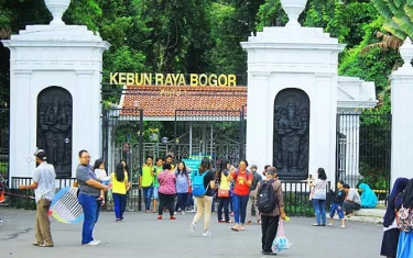 Kebun Raya Bogor Tempat Healing Yang Murah Meriah dan Mudah Dijangkau