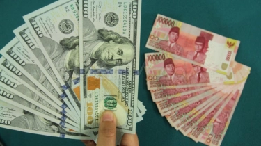 Rupiah Terguling 0,42 Persen, Dolar AS Perkasa Sore Ini