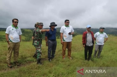 Badan Bank Tanah Siapkan 2.900 Hektare Lahan di Napu Poso untuk Industri Sapi Perah dan Pengolahan Susu