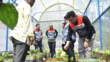 Pertamina Patra Niaga SHAFTHI Luncurkan Greenhouse Sirih, Solusi Inovatif untuk Produksi Daun Sirih di Mekarsari