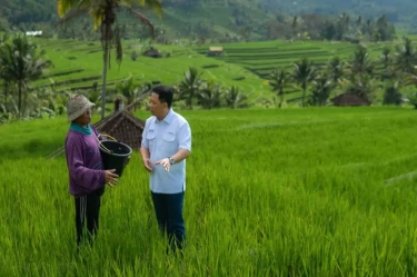 Hari Tani Nasional, Pupuk Kaltim Turun Langsung Beri Pendampingan Intensif kepada Petani