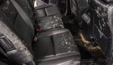 Bikin Kabin Jadi Bau dan Nggak Nyaman, Ini Cara Membersihkan Interior Mobil yang Berjamur