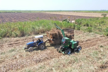 ID FOOD Catat Peningkatan Produksi Gula, Tembus 55 Ribu Ton sepanjang Musim Giling Tebu 2024