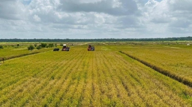 Jaga Produksi Beras, Kementan Telah Antisipasi Dampak El Nino Berkepanjangan Tahun 2024