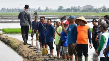 Survei Persepsi Petani 2024:  Kedaulatan Pangan Makin Sulit Terwujud