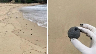 Viral Fenomena Bola-bola Hitam Misterius di Pantai Coogee Gemparkan Warga Sydney