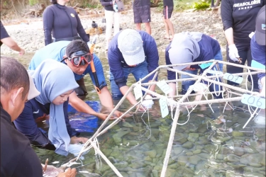 Peringati Sumpah Pemuda, PNM Gandeng Pemuda dalam Konservasi Terumbu Karang di Ambon