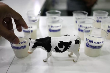 Pasokan Lokal Dibatasi, Impor Jor-joran, Petani Susu 'Ngamuk' ke Pemerintah