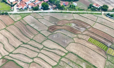 Wujudkan Target Swasembada Pangan, Menko Zulhas Sebut Pemerintah akan Tambah Jaringan Irigasi Tahun Depan