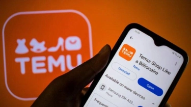 Marketplace China Tuai Kecaman, Vietnam Ancam Blokir Temu dan Shen