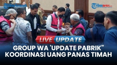 Sidang Kasus Timah, Ahli Keuangan Negara Jelaskan Beda Kewenangan BPK & BPKP Hitung Kerugian Negara