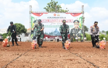 Dukung Asta Cita Presiden Prabowo, TNI Optimalkan 358 Ribu Hektar Lahan untuk Program Ketahanan Pangan