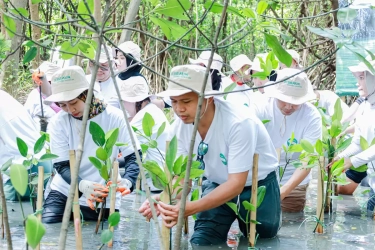 Kolaborasi Braun Indonesia dan Wastehub Perkuat Komitmen Lestari Lewat Penanaman Mangrove