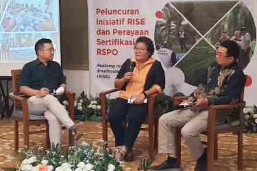 Penuhi Standar Keberlanjutan, Koperasi Peserta Program Sawit Terampil Raih Sertifikasi RSPO