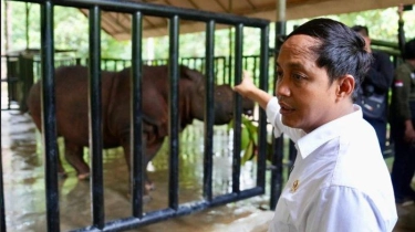 Kunjungi Taman Nasional Way Kambas, Menhut Gundah Populasi Badak Sumatra Kian Menipis