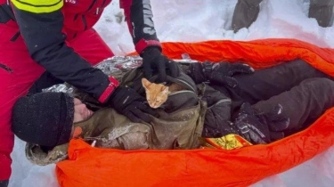 Kisah Pemuda Ukraina Kabur Menolak Disuruh Perang Lawan Rusia, Kucing Selamatkan Nyawanya