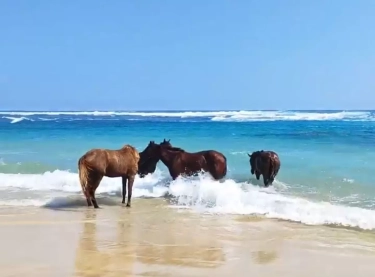 Bak Melihat Lukisan di Dunia Nyata: 7 Alasan Anda Wajib Habiskan Liburan Eksklusif di Pantai Nihiwatu Sumba