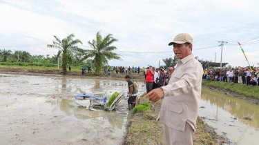 Mentan Amran Pastikan Program Swasembada Pangan Lewat Oplah dan Cetak Sawah Berjalan Lancar