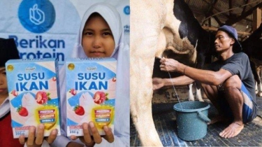 Ramainya Isu Susu Sepanjang 2024, Mulai dari Susu Ikan hingga Rencana Impor