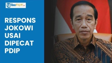 Willy Aditya: NasDem Terbuka Anytime untuk Jokowi 