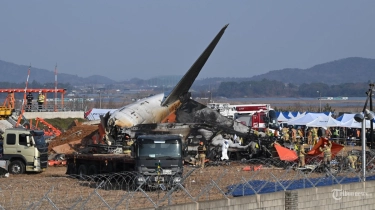 Mengenal Boeing 737-800 Jeju Air yang Jatuh di Korsel, Banyak Dipakai Maskapai Penerbangan di Dunia