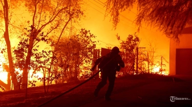 Seluruh Pacific Palisades Mirip Gaza, Kata Jamie Lee Curtis tentang Kebakaran Hanguskan Los Angeles