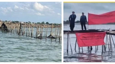 Beda Cara Bakamla dan KKP Dalam Menyelesaikan Pagar Laut Misterius di Tangerang, Mana Lebih Efektif?